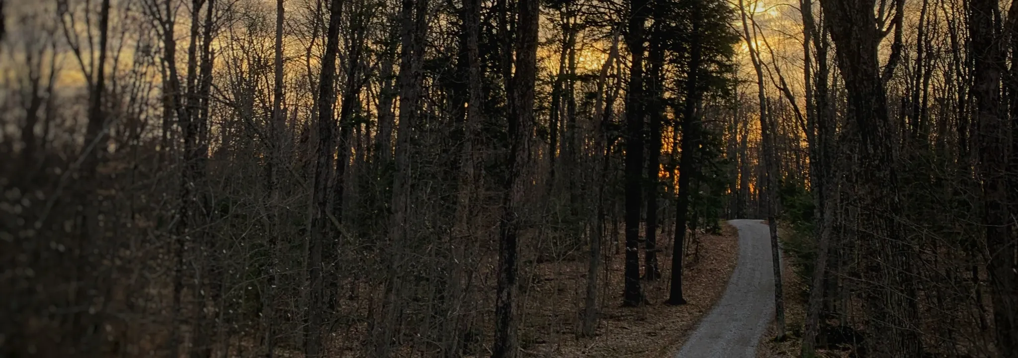 Dark fall day in Ontario