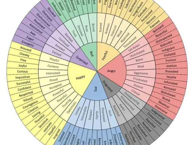 Emotion Chart