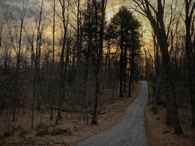 Dark fall day in Ontario